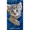 image Cute As A Kitten 2 Year 2025 Pocket Planner Main Image