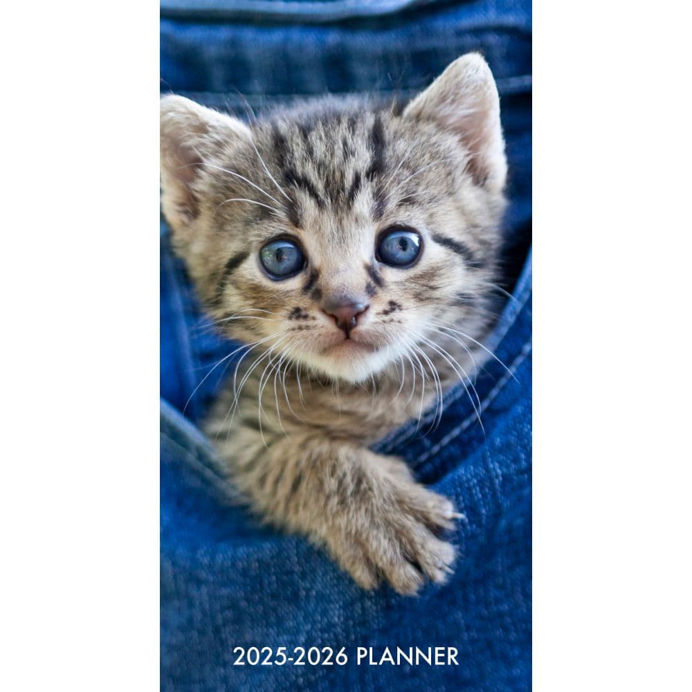 Cute As A Kitten 2 Year 2025 Pocket Planner Main Image