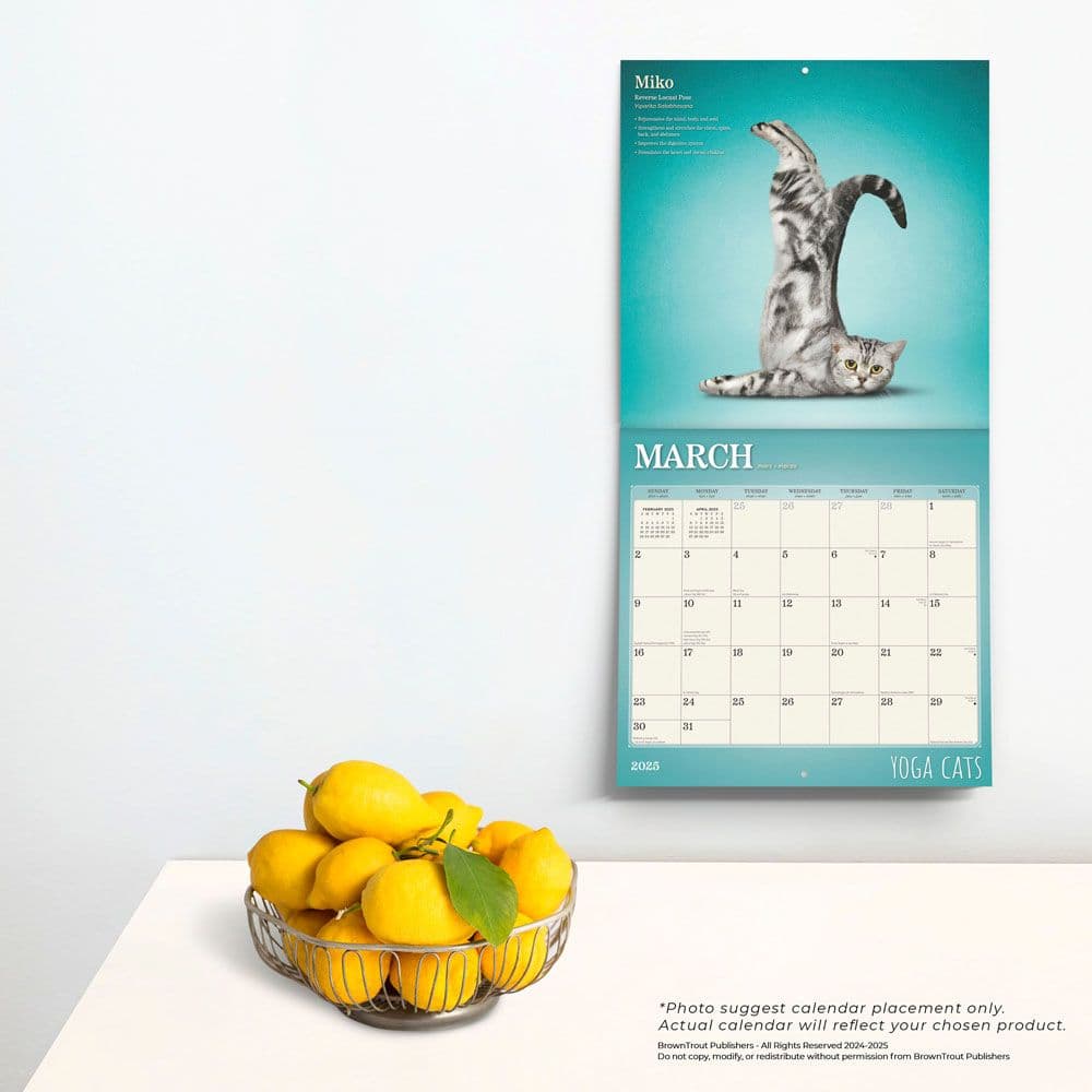 Yoga Cats 2025 Wall Calendar Third Alternate Image width=&quot;1000&quot; height=&quot;1000&quot;