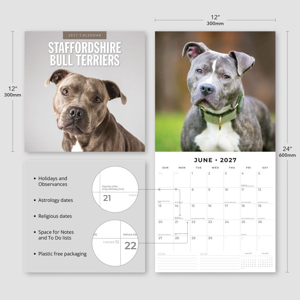 Staffordshire Bull Terriers 2027 Wall Calendar Third Alternate Image