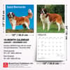 image Saint Bernards 2027 Wall Calendar Seventh Alternate Image