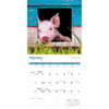 image Miniature Pigs 2026 Wall Calendar Second Alternate Image