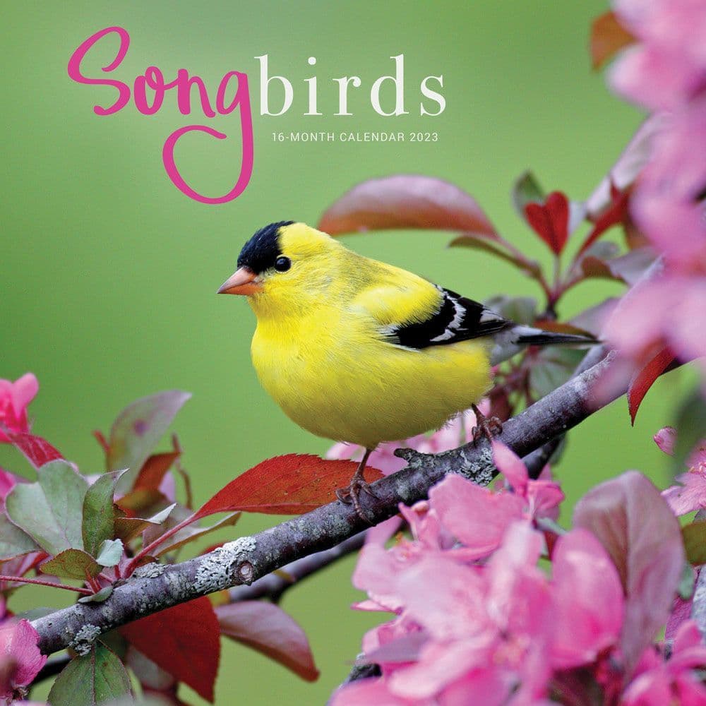 songbirds-2023-wall-calendar-calendars