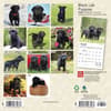 image Lab Black Puppies 2024 Mini Wall Calendar First Alternate Image width=&quot;1000&quot; height=&quot;1000&quot;