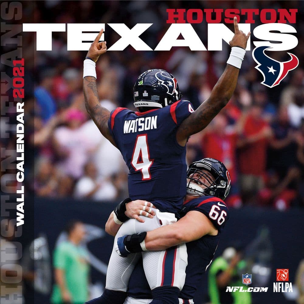 NFL Houston Texans Mini Wall Calendar