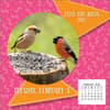image Everydays A Holiday Photo 2026 Desk Calendar_ALT3