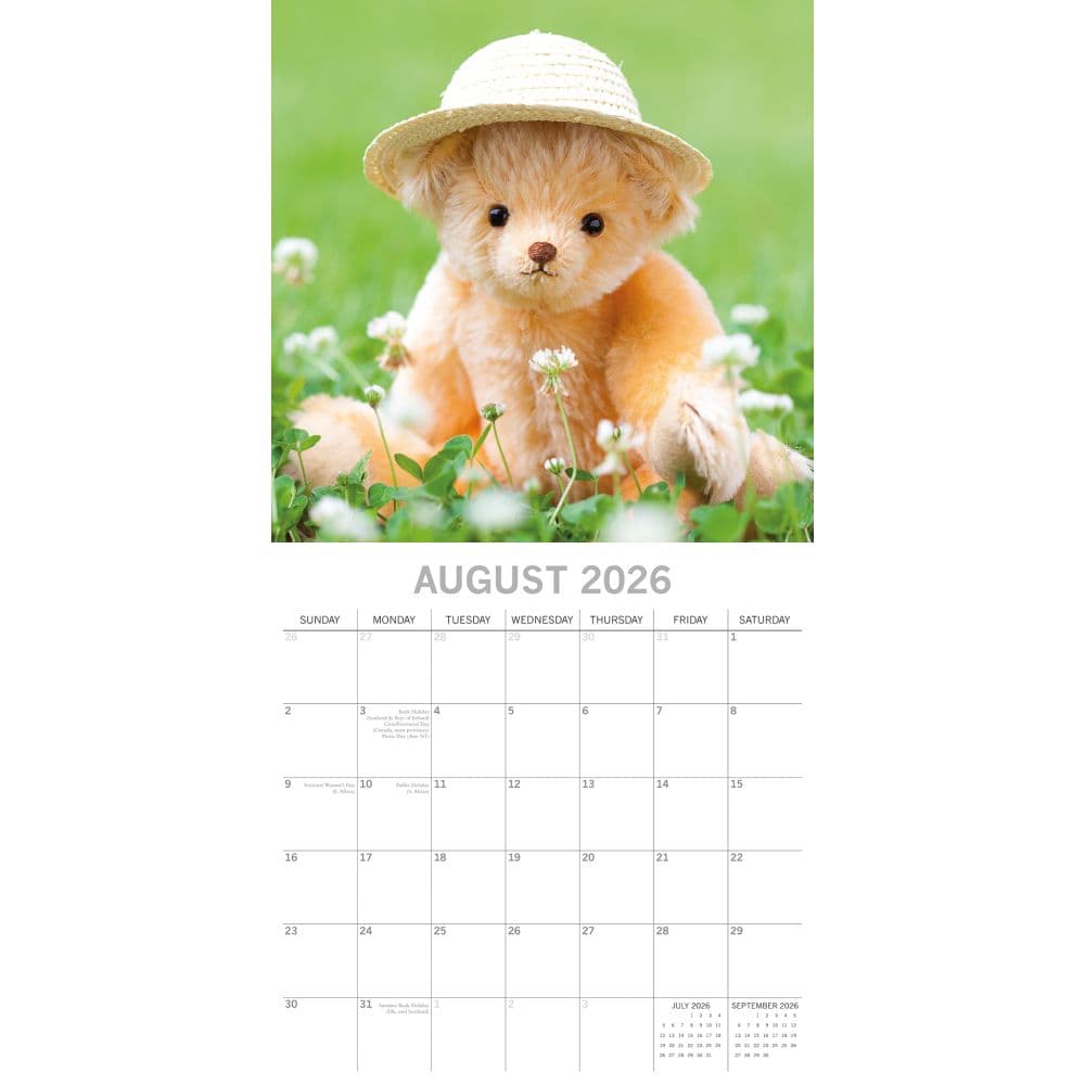 Teddy Bears 2026 Wall Calendar Third Alternate Image