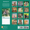 image Baby Big Cats 2025 Wall Calendar First Alternate Image width="1000" height="1000"