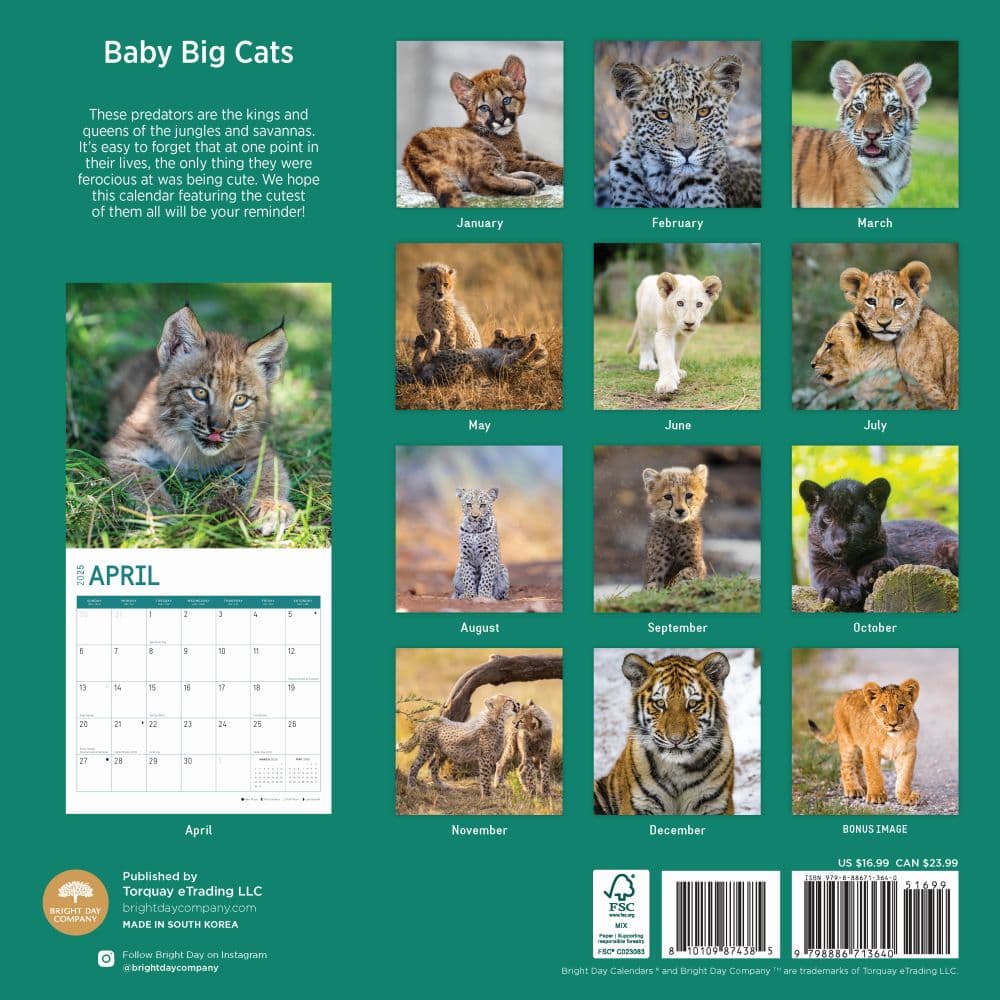 Baby Big Cats 2025 Wall Calendar First Alternate Image width="1000" height="1000"