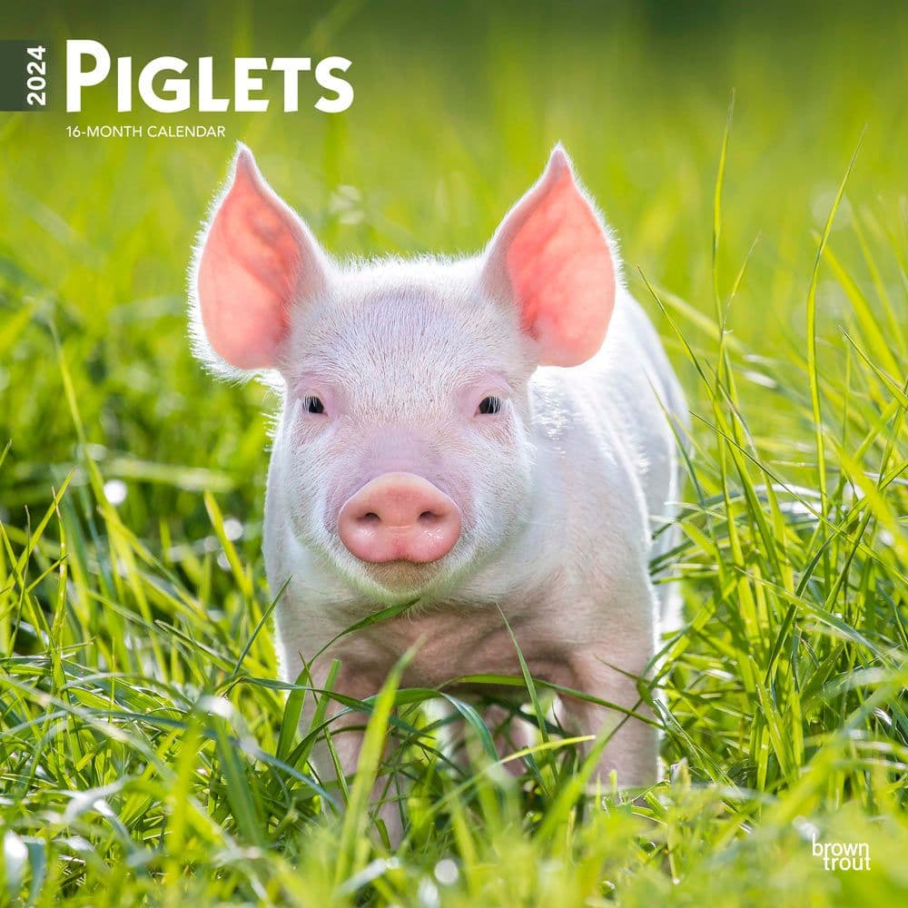 Piglets 2024 Wall Calendar Calendars Com   1da4be3c 91a5 424c Bda6 4664af5dcab6