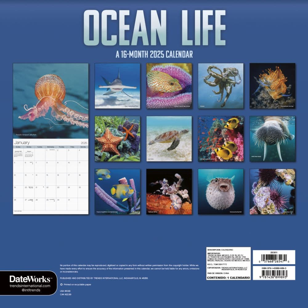 Ocean Life 2025 Wall Calendar Third Alternate Image width=&quot;1000&quot; height=&quot;1000&quot;