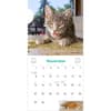 image Cats on Catnip 2026 Wall Calendar Fourth Alternate Image