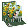 image Sunflower Sanctuary Boxed Note Cards_Main Image