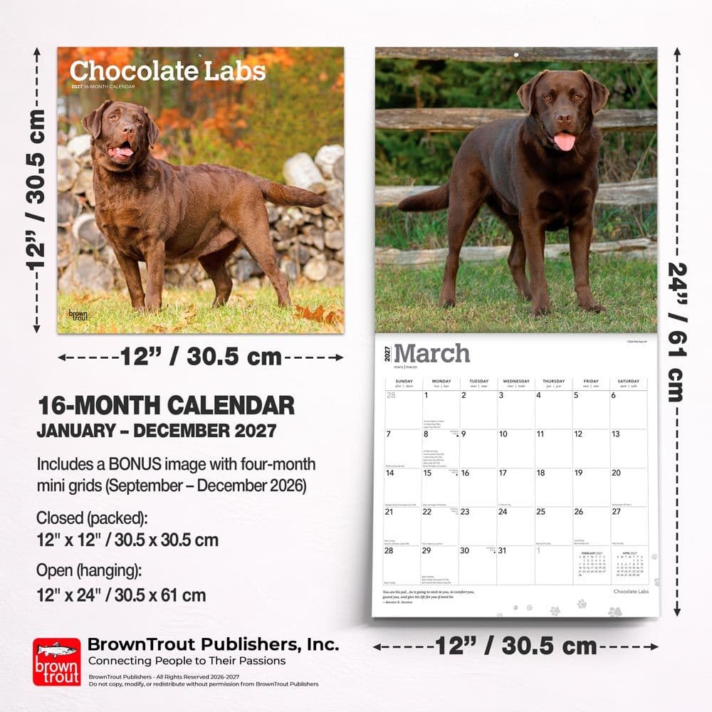 Chocolate Lab Retriever 2027 Wall Calendar Seventh Alternate Image
