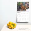 image Pit Bull Terriers Deluxe 2025 Wall Calendar