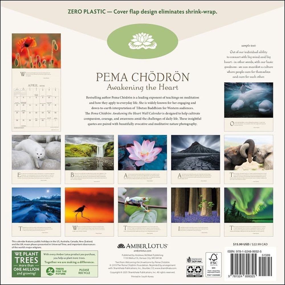 Pema Chodron 2026 Wall Calendar First Alternate Image