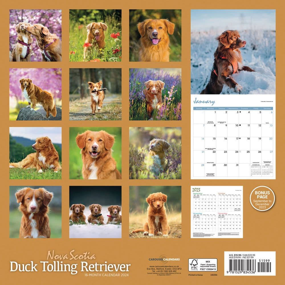 Nova Scotia Duck Tolling Retriever 2025 Wall Calendar