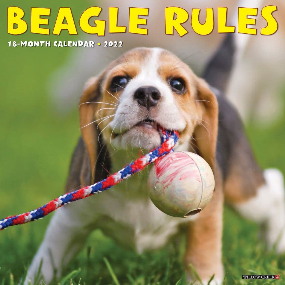 Beagle Rules 2022 Wall Calendar