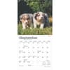 image Australian Shepherd 2025 Mini Wall Calendar Third Alternate Image width=&quot;1000&quot; height=&quot;1000&quot;