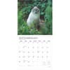 image I Love Cats Plato 2025 Wall Calendar Third Alternate Image width=&quot;1000&quot; height=&quot;1000&quot;