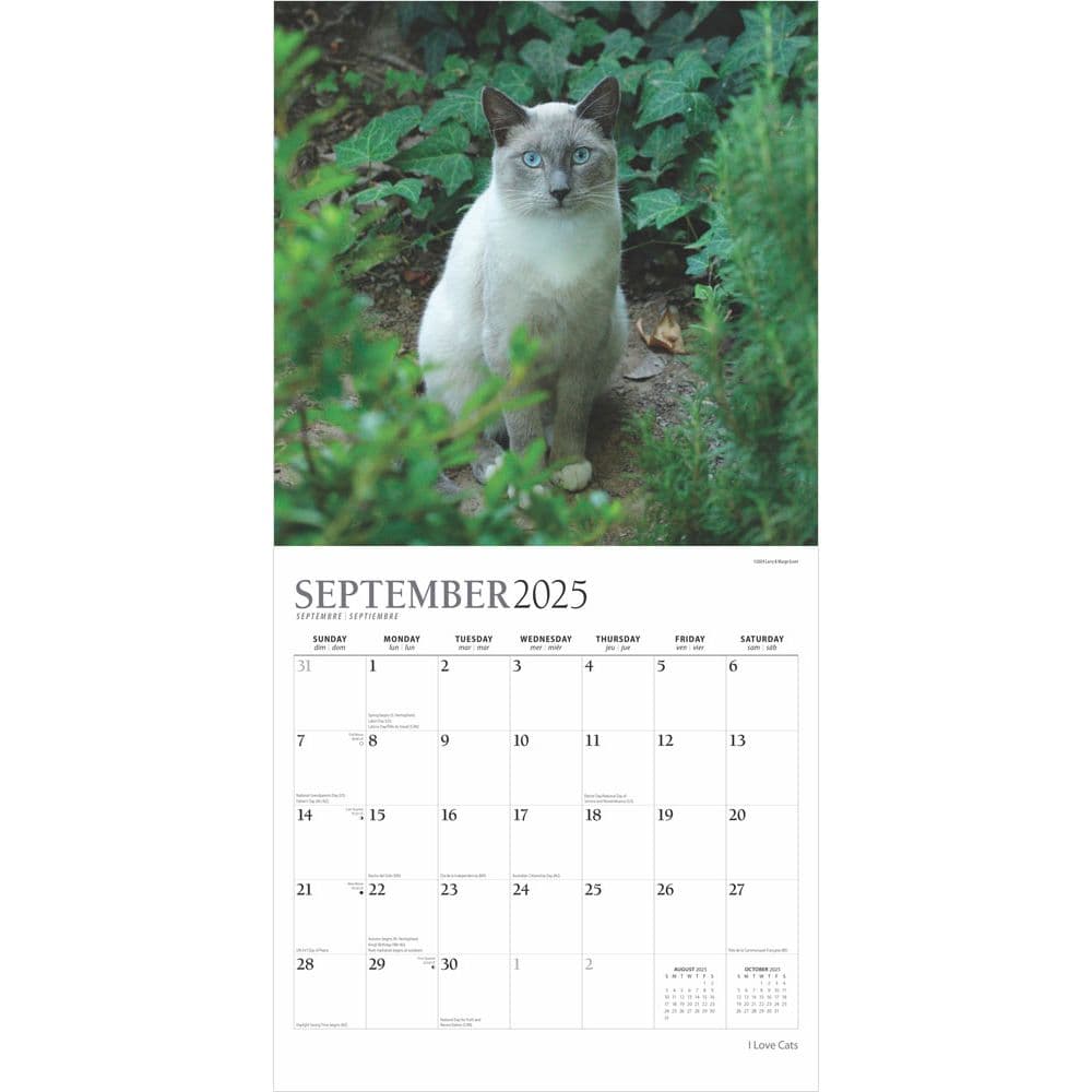 I Love Cats Plato 2025 Wall Calendar Third Alternate Image width=&quot;1000&quot; height=&quot;1000&quot;