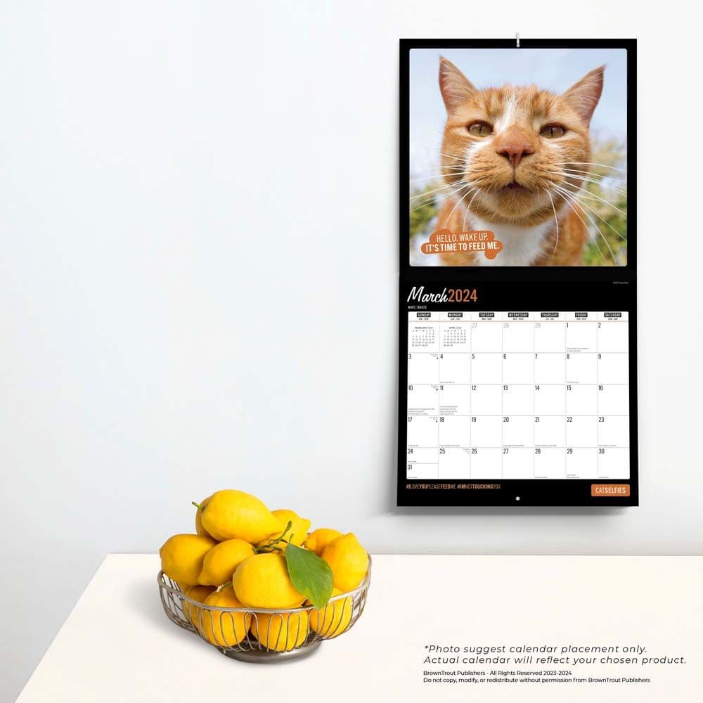 Cat Selfies 2024 Wall Calendar Third Alternate Image width=&quot;1000&quot; height=&quot;1000&quot;