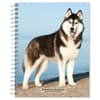 image Siberian Huskies 2024 Planner Main Product Image width=&quot;1000&quot; height=&quot;1000&quot;