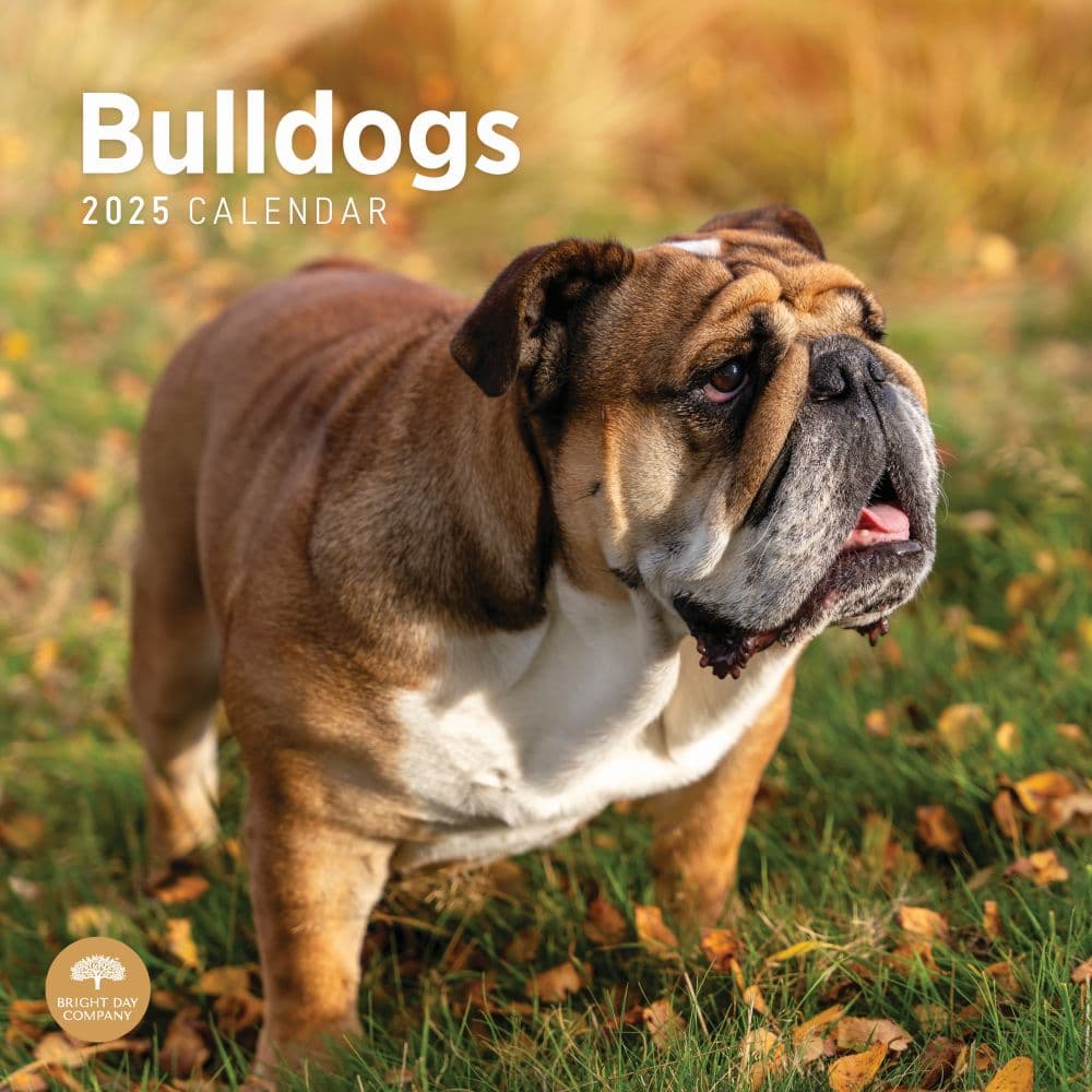 Bulldogs 2025 Wall Calendar Main Product Image