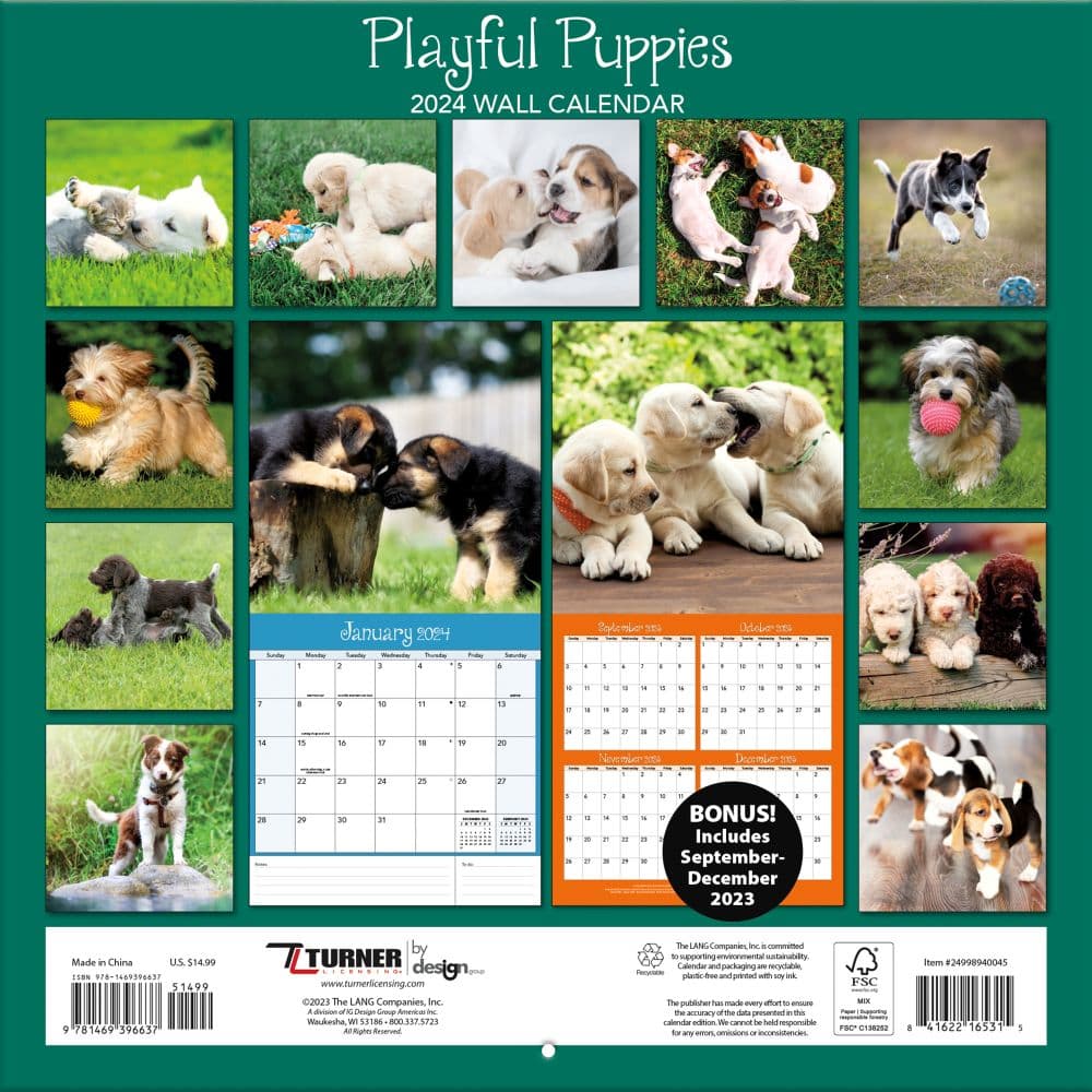 Playful Puppies 2024 Wall Calendar