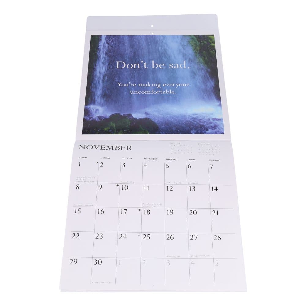 Disappointing Affirmations 2026 Wall Calendar Second Alternate Image