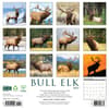 image Elk Bull 2025 Wall Calendar