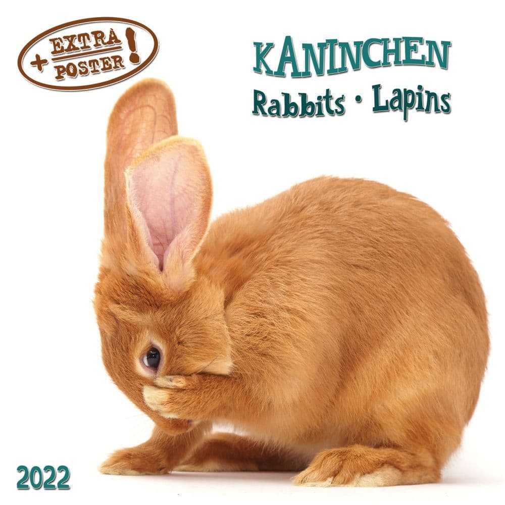 Rabbits Tushita 2022 Small Wall Calendar