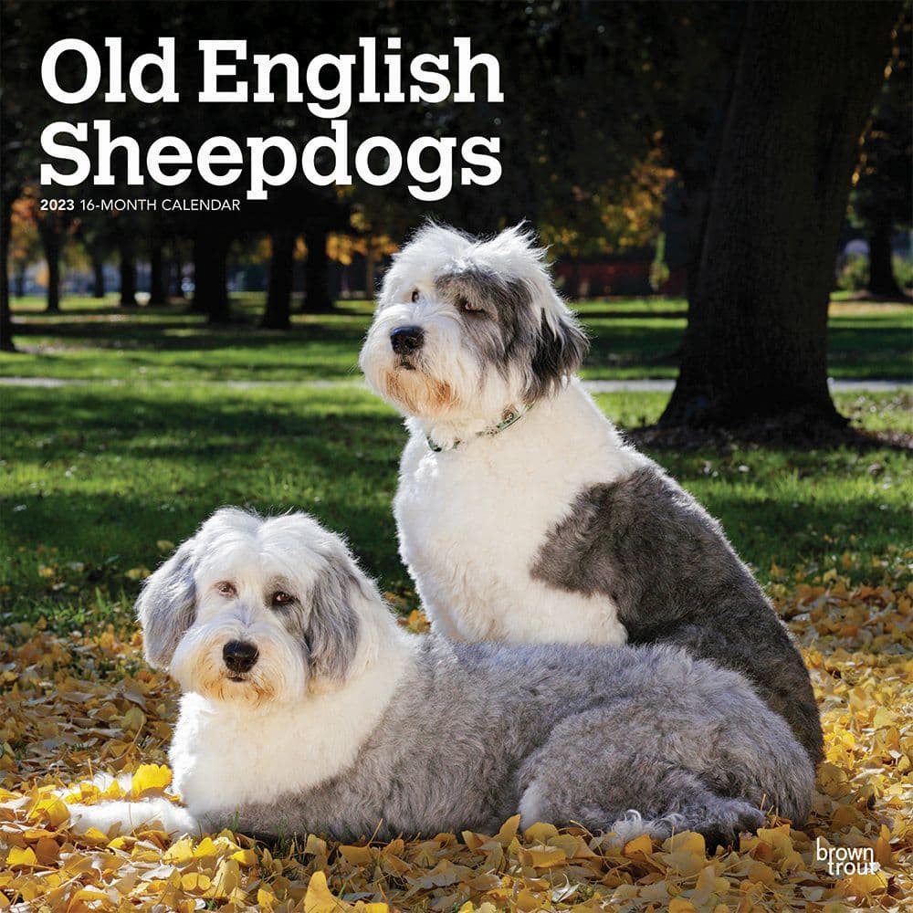 BrownTrout Old English Sheepdogs 2023 Wall Calendar