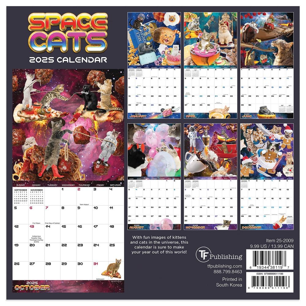 Space Cats 2025 Mini Wall Calendar First Alternate