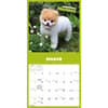 image Boo 2025 Wall Calendar Second Alternate Image width="1000" height="1000"