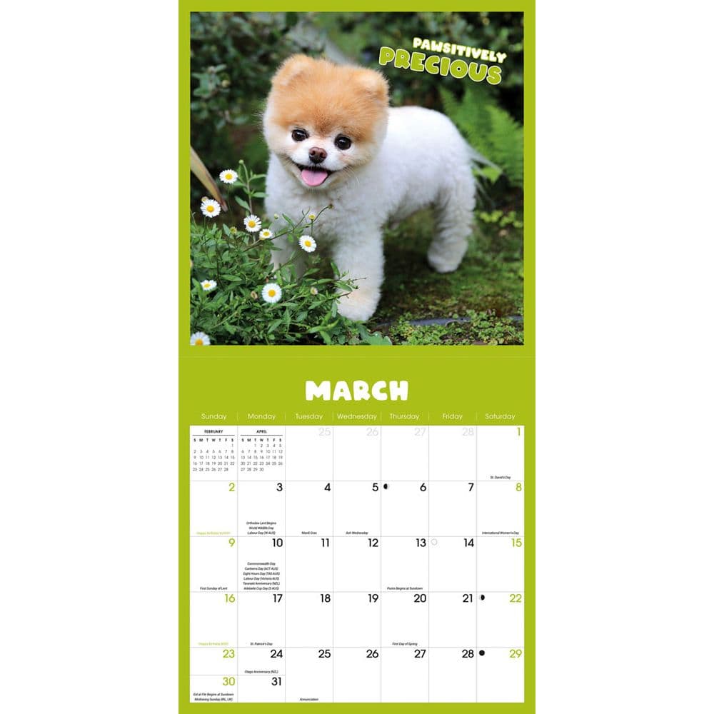 Boo 2025 Wall Calendar Second Alternate Image width="1000" height="1000"