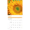 image Sunflowers 2025 Wall Calendar Third Alternate Image width=&quot;1000&quot; height=&quot;1000&quot;