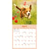 image Playful Puppies 2026 Mini Wall Calendar Third Alternate Image