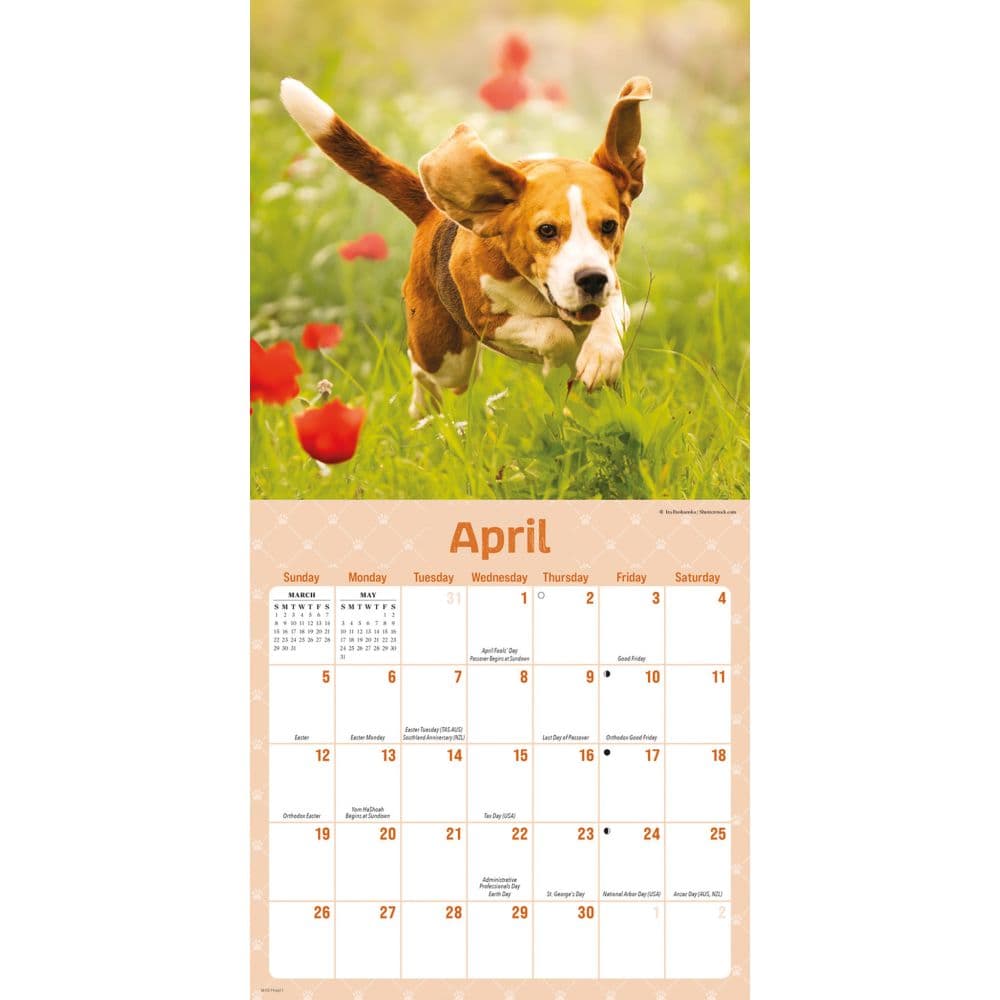 Playful Puppies 2026 Mini Wall Calendar Third Alternate Image