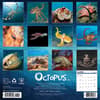 image Octopus 2026 Wall Calendar First Alternate Image