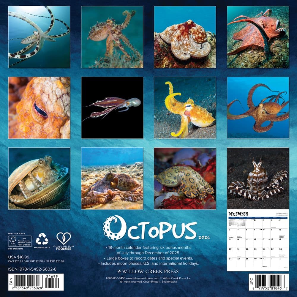 Octopus 2026 Wall Calendar First Alternate Image
