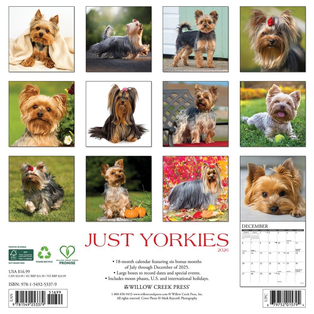 Just Yorkies 2026 Wall Calendar First Alternate Image
