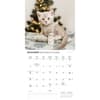 image Kittens Cute 2025 Wall Calendar Fourth Alternate Image width=&quot;1000&quot; height=&quot;1000&quot;