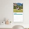 image Border Collies 2025 Wall Calendar Fifth  Alternate Image