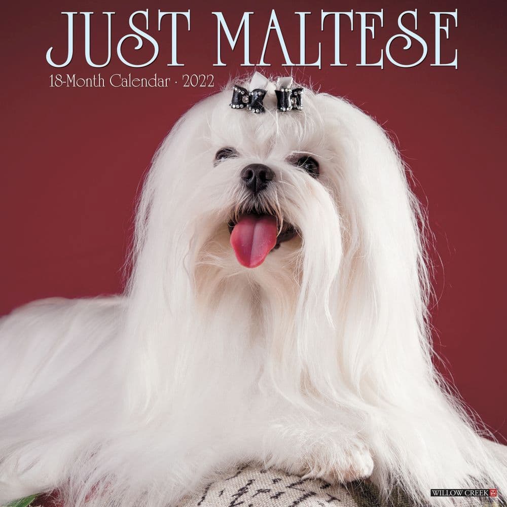 Maltese 2022 Calendars