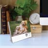 image Dogs 2026 Desk Calendar Second Alternate Image