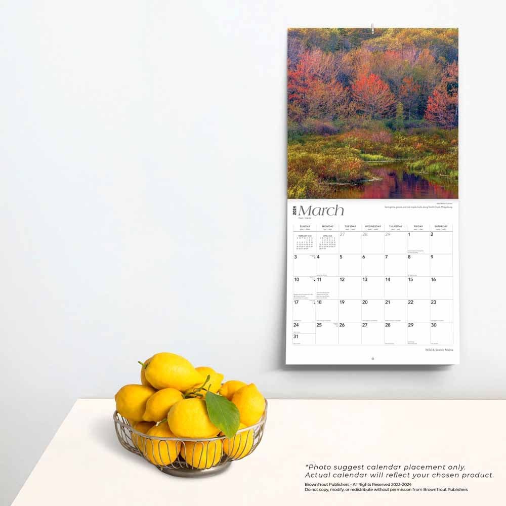 Maine Wild and Scenic 2024 Wall Calendar Third Alternate Image width=&quot;1000&quot; height=&quot;1000&quot;