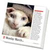 image Cats 365 2026 Desk Calendar Second Alternate Image