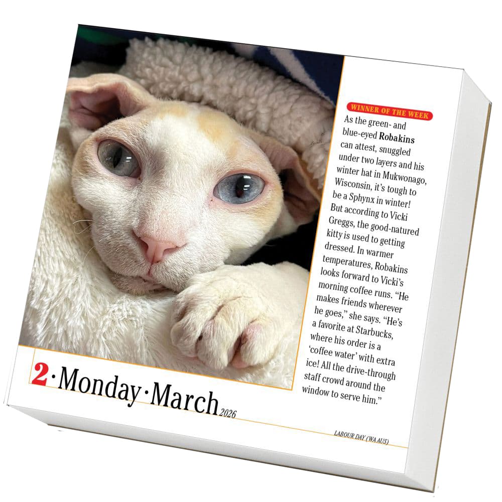 Cats 365 2026 Desk Calendar Second Alternate Image