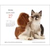 image Kittens and Friends 2025 Desk Calendar Third Alternate Image width=&quot;1000&quot; height=&quot;1000&quot;